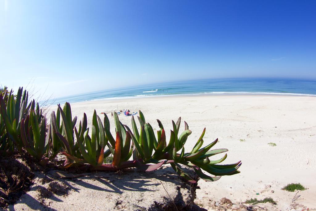 Oporto Surf Camp Esmoriz Exterior photo